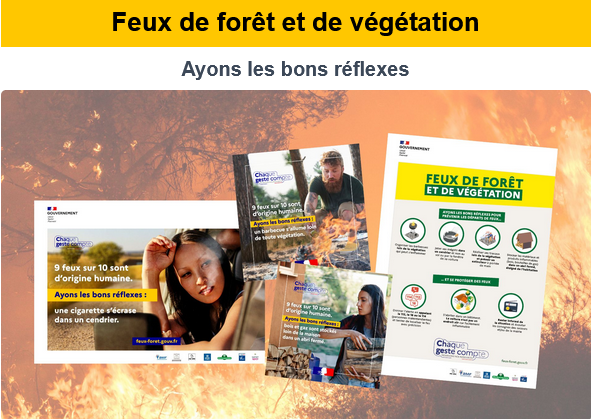 Feux de forets